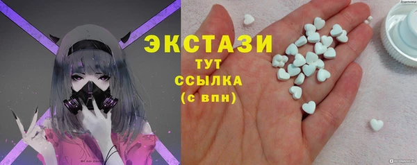 гашик Алексин
