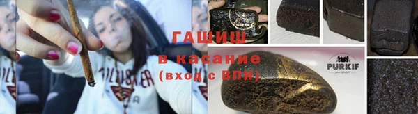 стафф Касимов