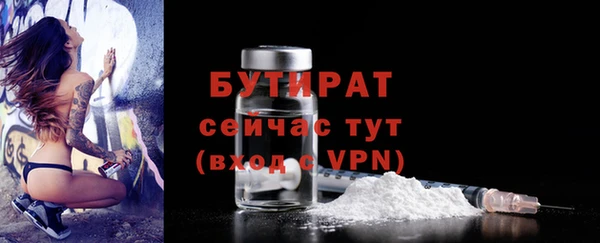 гашик Алексин