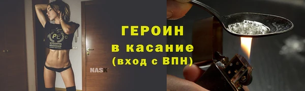 гашик Алексин