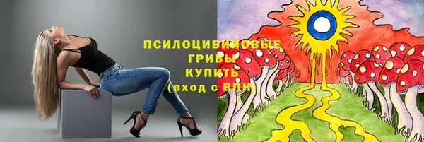 каннабис Алексеевка